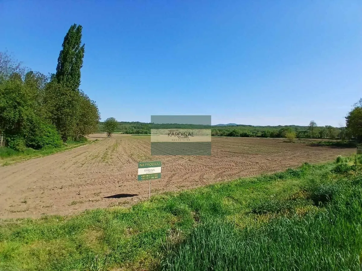 Prodaja, plac, 16009m², Dragocvet, Jagodina