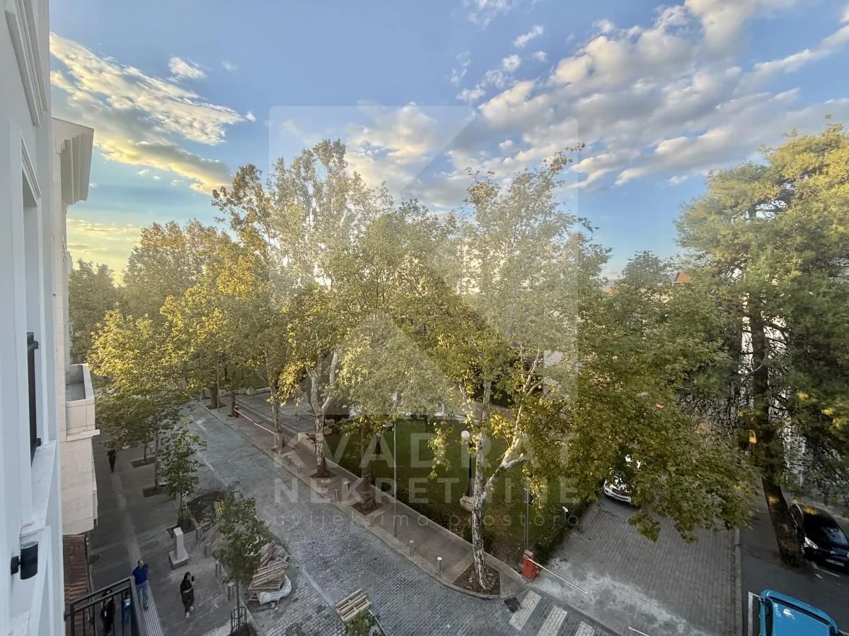 View from the terrace overlooking the street and trees.