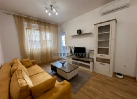 Izdavanje, jednosoban stan, 44m², Zabjelo, Podgorica - image 3