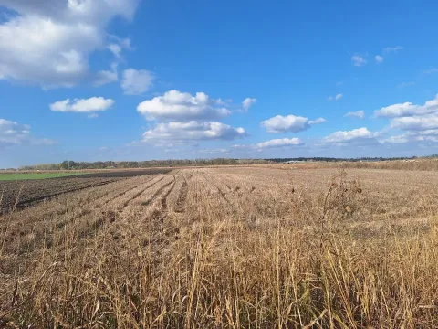 Sale, land lot, Palilula Sve Podlokacije, Beograd - image 2