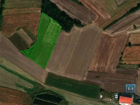 Sale, land lot, 9935m², Supska, Ćuprija - image 2