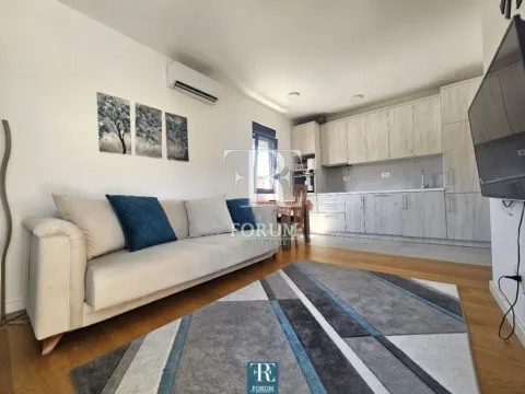 Izdavanje, jednosoban stan, 43m², Dalmatinska ulica, Podgorica - image 3