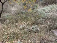 Sale, land lot, 558m², Kamenari, Herceg Novi - image 6