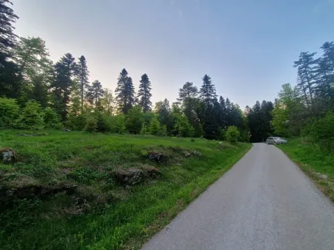 Prodaja, plac, 1130m², Centar, Zlatibor - image 5