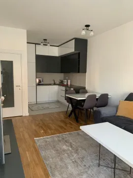 Rent, one bedroom apartment, 46m², Zabjelo, Podgorica - image 6