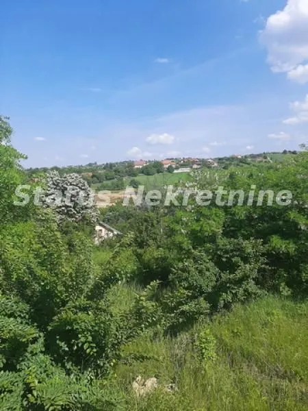 Sale, house, 300m², Ledinci, Petrovaradin