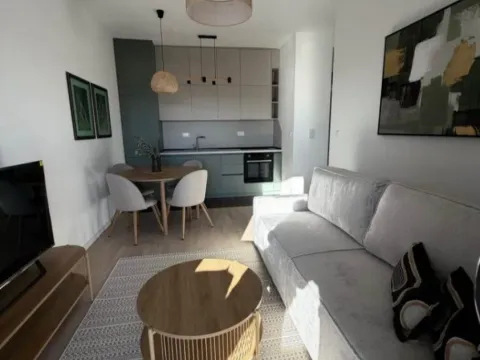 Izdavanje, jednosoban stan, 45m², Tološi, Podgorica - image 3