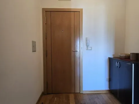 Rent, one bedroom apartment, 46m², Kod Big Fashion-a, Podgorica - image 11