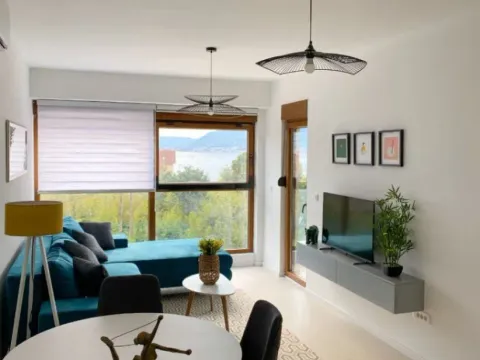 Rent, one bedroom apartment, 50m², Donja Lastva, Tivat - image 9