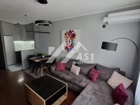 Izdavanje, dvosoban stan, 45m², Novi Sad Sve Podlokacije, Novi Sad - image 1
