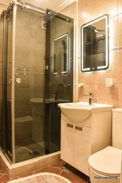 Izdavanje, dvosoban stan, 74m², Južni Bulevar, Vračar Sve Podlokacije - image 13