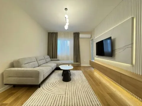 Izdavanje, jednosoban stan, 50m², Central Point, Podgorica - image 4