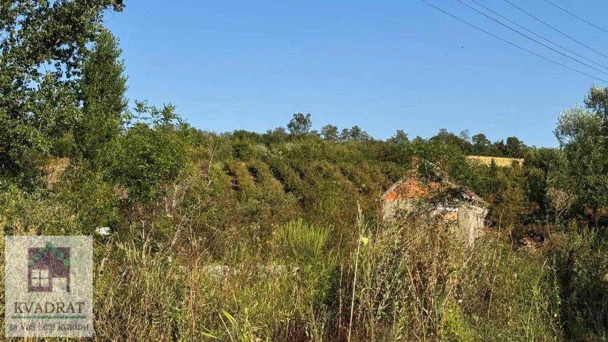 Pogled na zeleno dvorište i prirodu sa stablima i rastinjem.