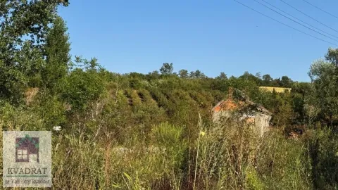 Pogled na zeleno dvorište i prirodu sa stablima i rastinjem. - image 22
