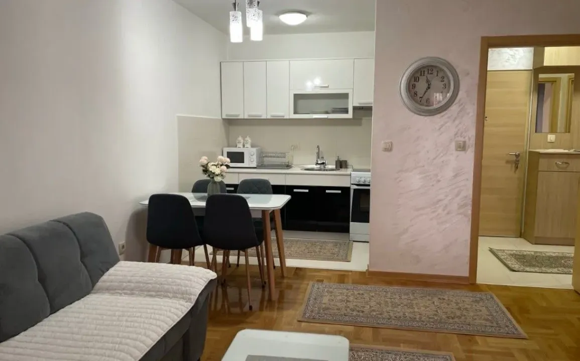 Izdavanje, jednosoban stan, 45m², Stari Aerodrom, Podgorica