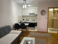 Izdavanje, jednosoban stan, 45m², Stari Aerodrom, Podgorica - image 1