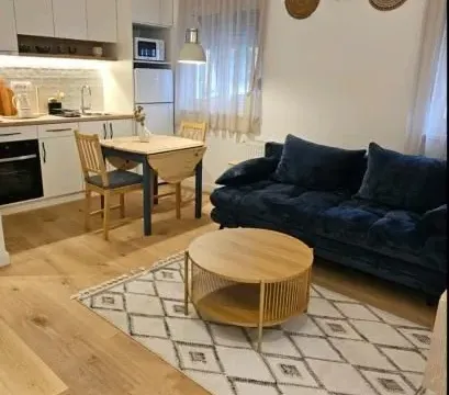 Izdavanje, jednosoban stan, 36m², Centar, Novi Sad - image 8