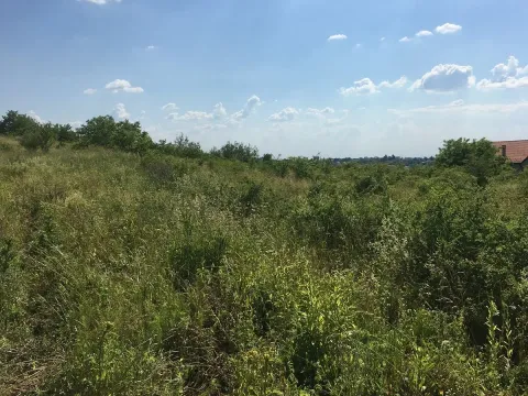 Prodaja, plac, 2000m², Kumodraž Sve Podlokacije, Beograd - image 2