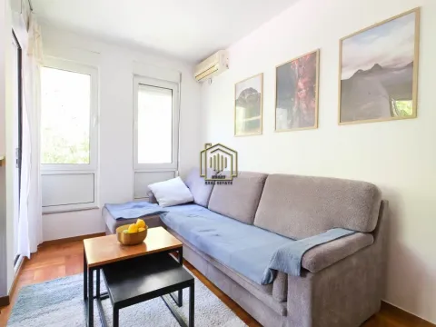 Rent, one bedroom apartment, 38m², Pod Goricom, Podgorica - image 2