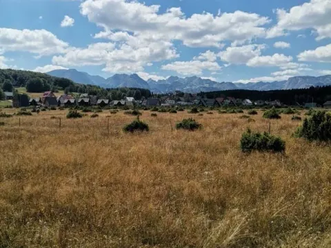 Prodaja, plac, 35800m², Žabljak, Crna Gora - image 3