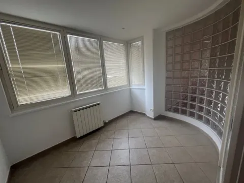 Rent, five bedroom apartment, 203m², Vračar Hram, Vračar Sve Podlokacije - image 4
