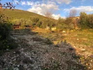 Prodaja, plac, 810m², Žanjice, Herceg Novi - image 7