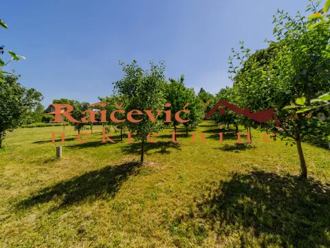 Prodaja, kuća, 257m², Sopot, Beograd - image 4