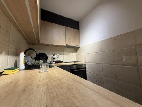 Izdavanje, jednosoban stan, 50m², Pantelej, Niš - image 5