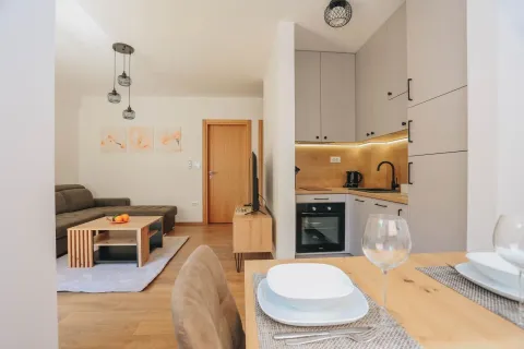Pogled na moderno uređenu dnevnu sobu i kuhinju u stanu. - image 6
