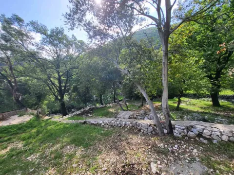 Zeleno dvorište sa stablima i kamenim zidom. - image 3