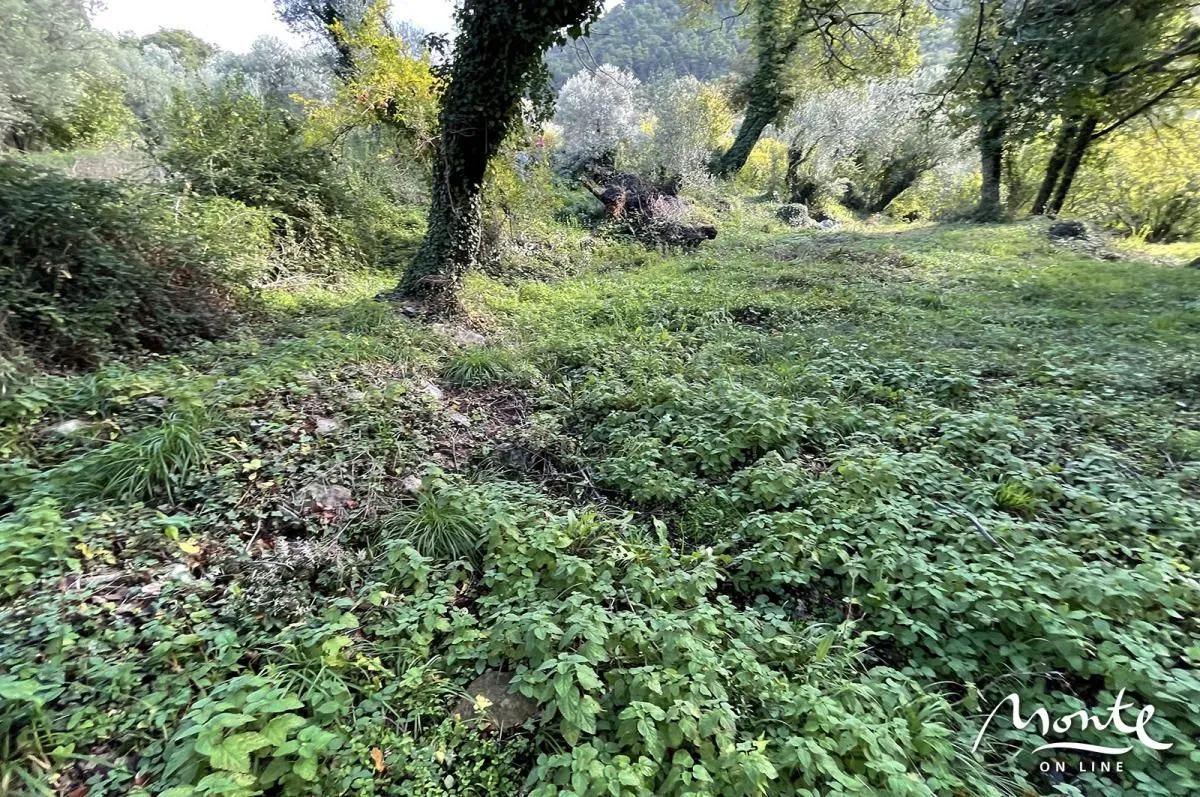 Prodaja, plac, 350m², Kavač, Kotor