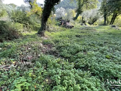 Prodaja, plac, 350m², Kavač, Kotor - image 6