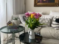 Sale, two bedroom apartment, 47m², Nova Dalmatinska, Podgorica - image 3