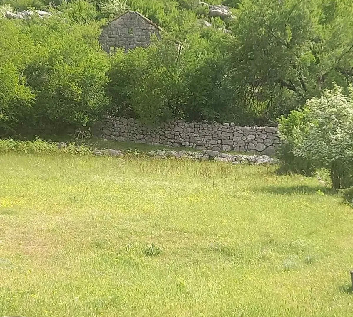 Prodaja, plac, 491760m², Dragalj, Kotor
