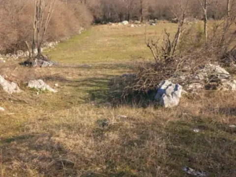 Prodaja,  zemljište, 45000m2, Bare Šumanovića, Danilovgrad