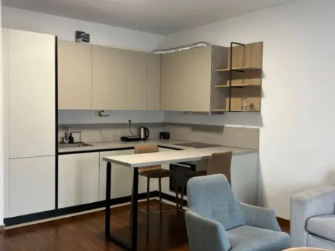 Izdavanje, četvorosoban stan, 110m², Master Kvart, Podgorica - image 2