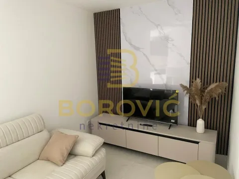 Izdavanje, dvosoban stan, 47m², Palilula Sve Podlokacije, Beograd - image 2
