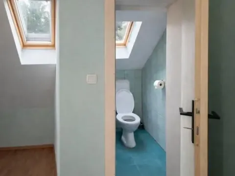 Izdavanje, poslovni prostor, 300m², Petrovaradin, Novi Sad - image 9