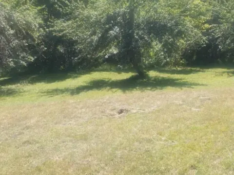 Prodaja, plac, 600m², Kolašin, Crna Gora - image 3