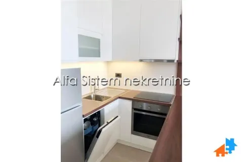 Izdavanje, dvosoban stan, 48m², Novi Beograd Blok 67, Novi Beograd Sve Podlokacije - image 7