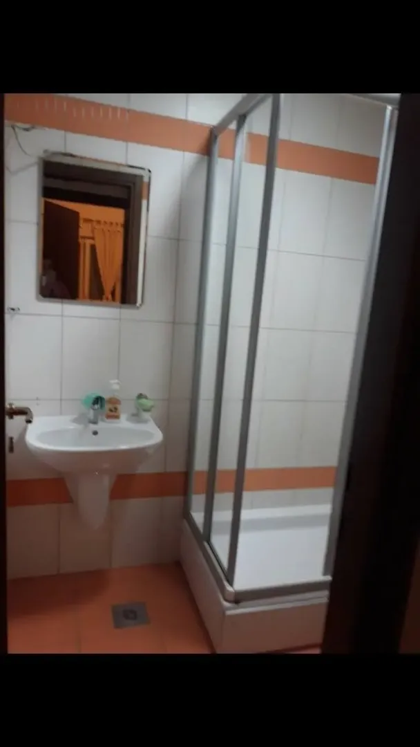 A simple bathroom with a shower cabin and a sink.