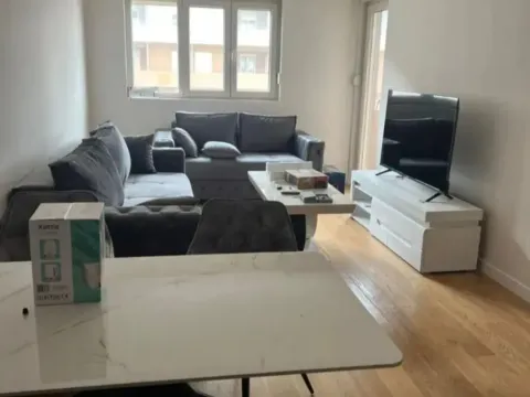 Sale, one bedroom apartment, 47m², Central Point, Podgorica - image 3