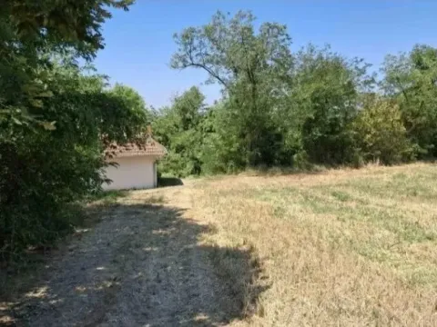 Sale, land lot, 10800m², Baničina, Smederevska Palanka - image 9