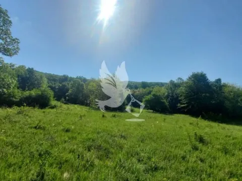 Prodaja, plac, 23000m², Mladenovac, Beograd - image 14