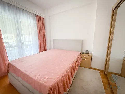Rent, one bedroom apartment, 42m², Ljubović, Podgorica - image 7