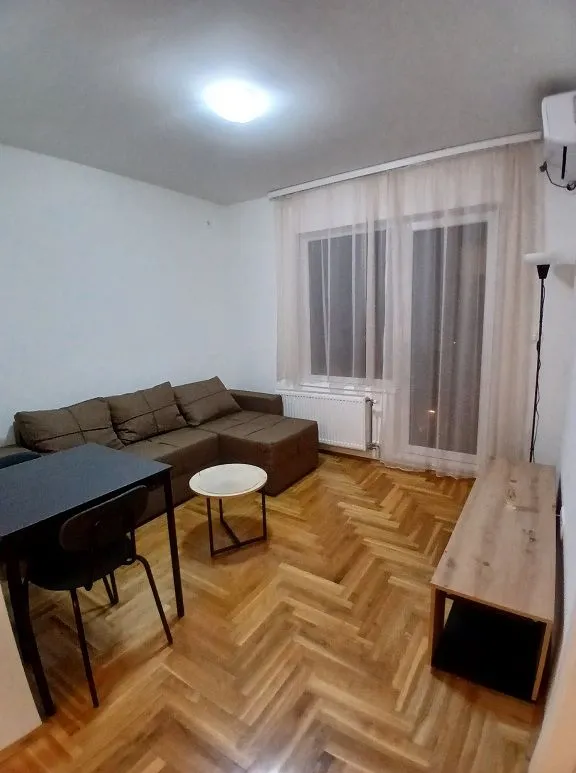 Izdavanje, jednosoban stan, 30m², Krnjaca, Palilula Sve Podlokacije