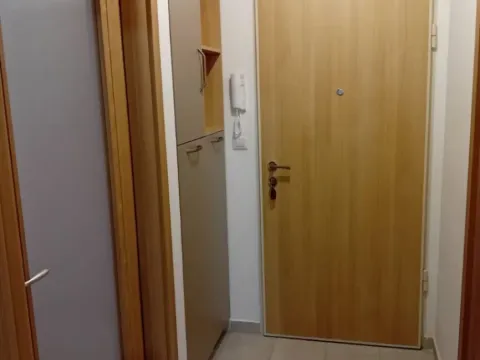 Rent, one bedroom apartment, 50m², Stari Aerodrom, Podgorica - image 2