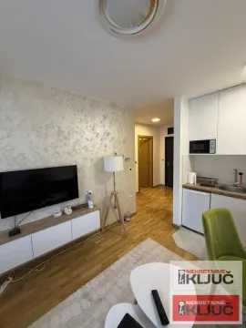 Dnevni boravak sa televizorom, garniturom i mini kuhinjom u pozadini. - image 3