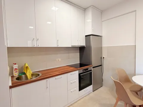 Rent, one bedroom apartment, 45m², Ljubović, Podgorica - image 4
