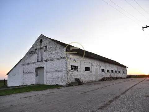 Prodaja, plac, 980m², Vrbas, Novi Sad - image 19